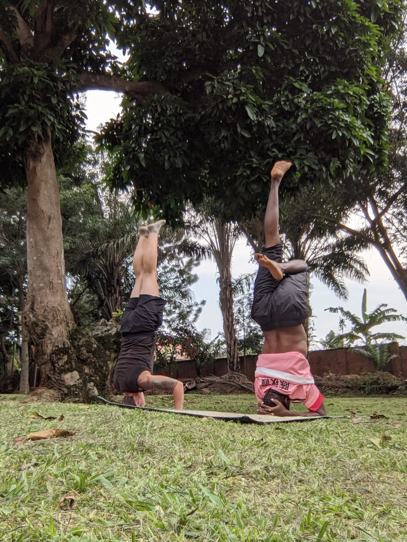 Whole Journey 24-class yoga pack for deeper practice in Entebbe